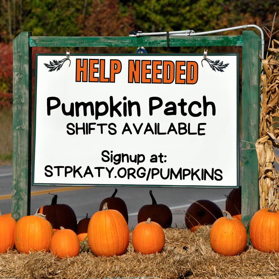 Pumpkin shifts.png